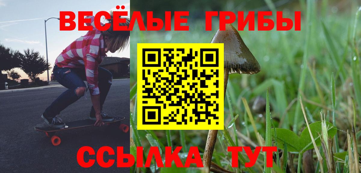 Галлюциногенные грибы Psilocybine cubensis  Вход с VPN  Фурманов  Псилоцибиновые грибы мухоморы 
