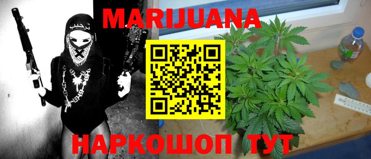 Каннабис планчик  Вход с VPN  Каннабис индика  Фурманов 
